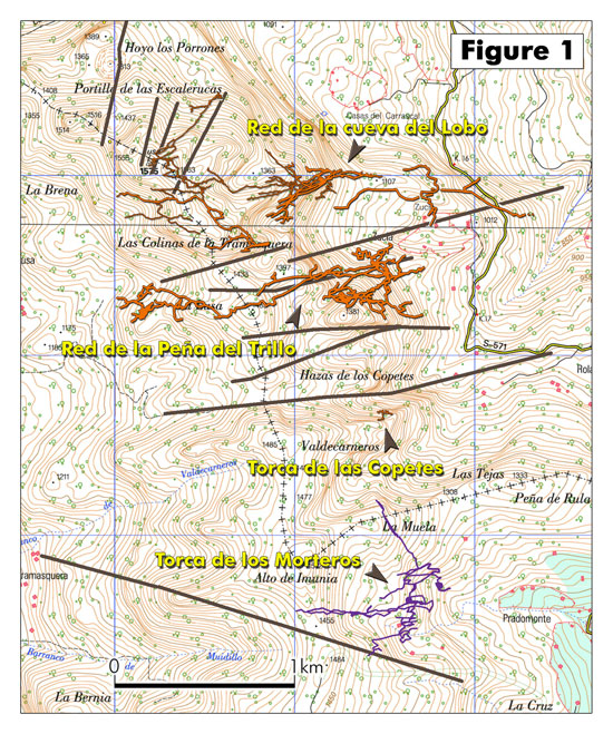 carteCopetes